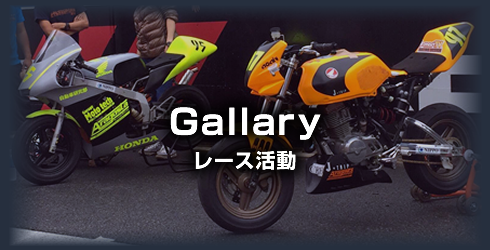 ギャラリー・レース活動